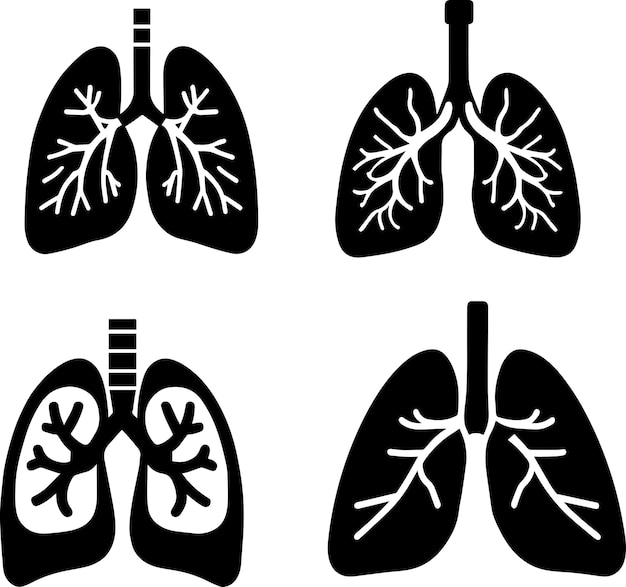 Vector lungs human icon black color 1