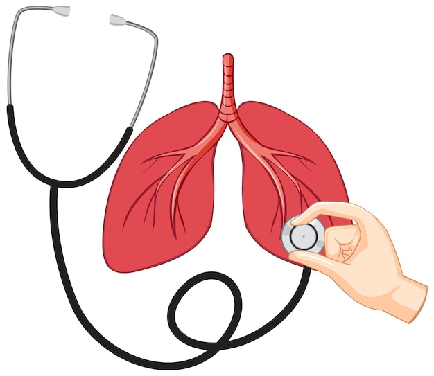 Lungs human icon vector