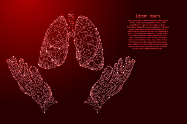 肺人間の臓器と2つの保持、未来的な多角形の赤い線から手を保護
