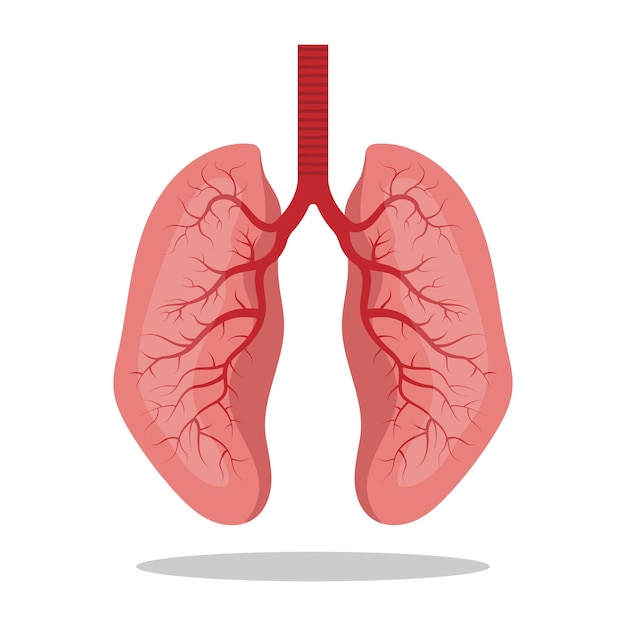 벡터 폐 아이콘 개념 평평한 스타일 인간의 내부 장기 디자인 요소 로고 해부학
