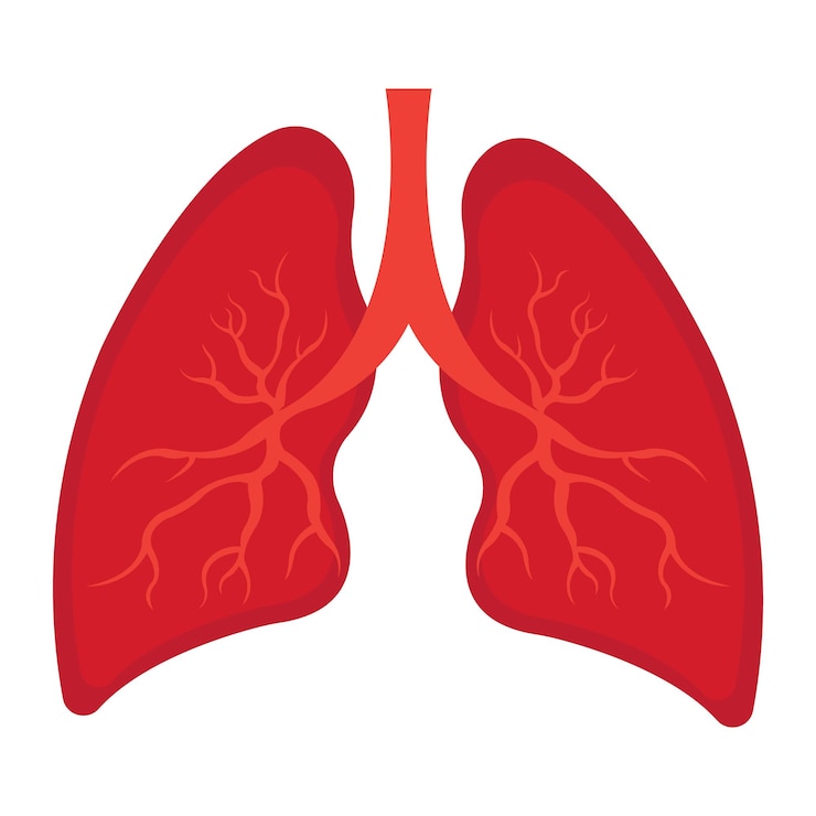 Vector lungs icon logo vector design template