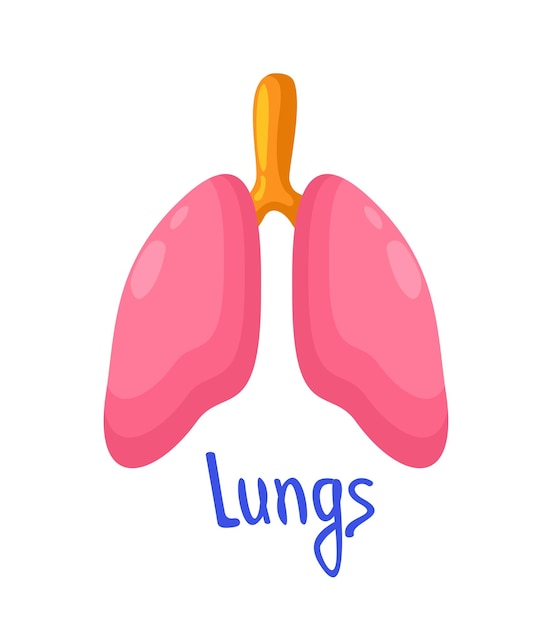 Lungs Vector bright isolated illustration with lettering