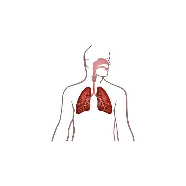 肺ベクトル型アイコン