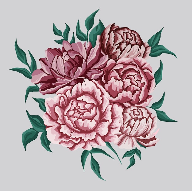 ペオニアの花束 ベクトル