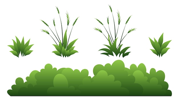 Vector lush bushes and grass. green leafy shrubs nature element design