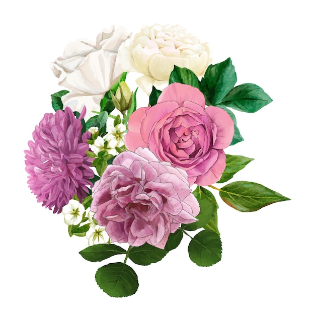 Вектор Пышные английские букеты роз с нарисованными вручную листьями