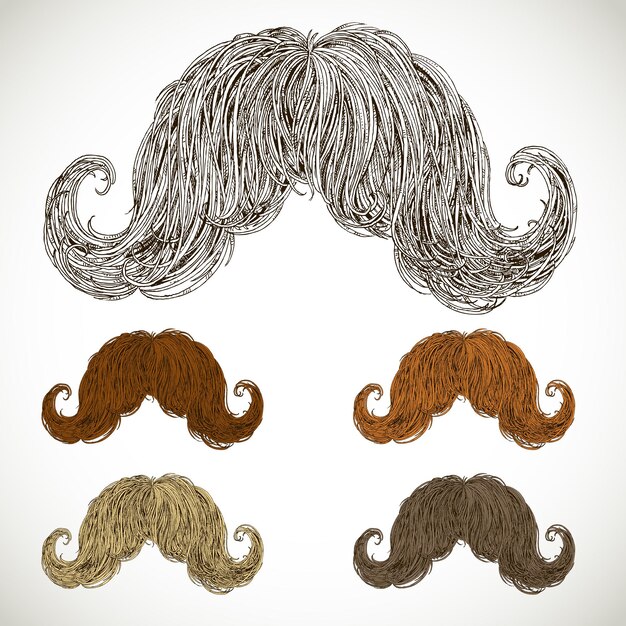 Lush mustache groomed in several colors