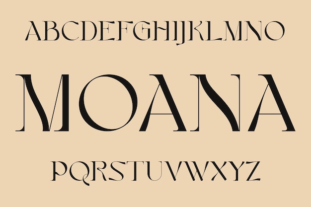 Luxe alfabet display lettertype vector