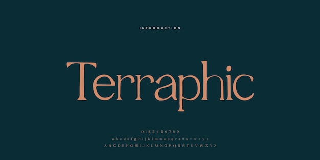 Luxe alfabet letters lettertype typografie elegante bruiloft belettering serif-lettertypen decoratief vintage Pre