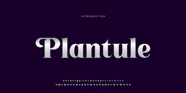 Luxe alfabet letters lettertype typografie elegante bruiloft belettering serif-lettertypen decoratief vintage pre