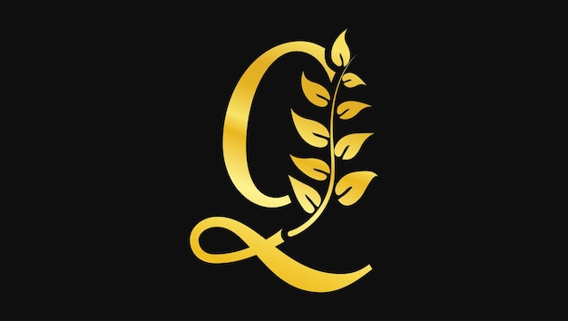 Vector luxe alfabetten abc letter q decoratieve botanische bladeren monogram logo