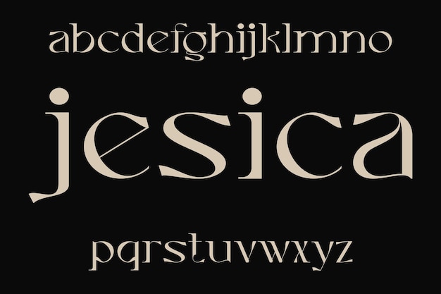 Luxe kleine letters display lettertype vector