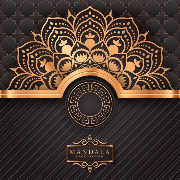 Luxe Mandala decoratieve etnische element achtergrond