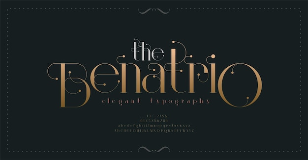 Luxe vintage alfabet letters lettertype en nummer typografie elegant klassiek retro bruiloft serif-lettertype