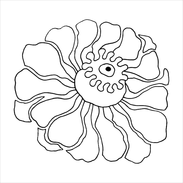 Luxe zinnia bloemen zwarte en witte vector omtrek op een witte achtergrond