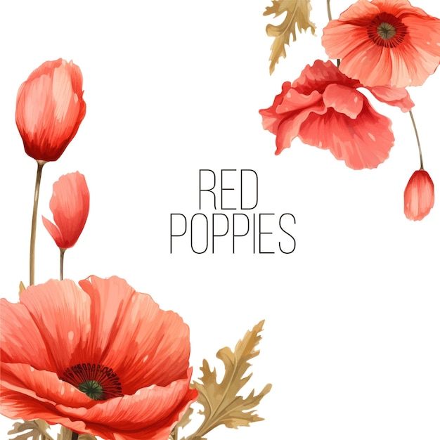 Vector luxurious bright red vector poppy flowers paintings on white background with blots