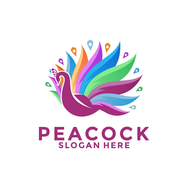 Luxurious peacock bird logo icon abstract peacock colorful logo vector design template