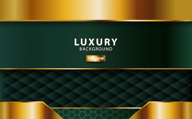 Luxury abstract premium green  background with gold line.