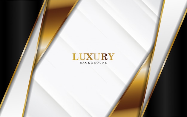 Luxury black white Background  with golden lines  in  abstract 