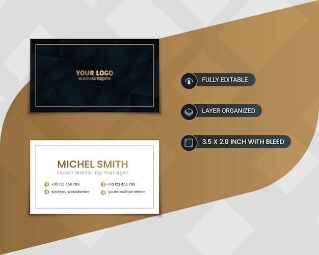 Vector a luxury business card for your company