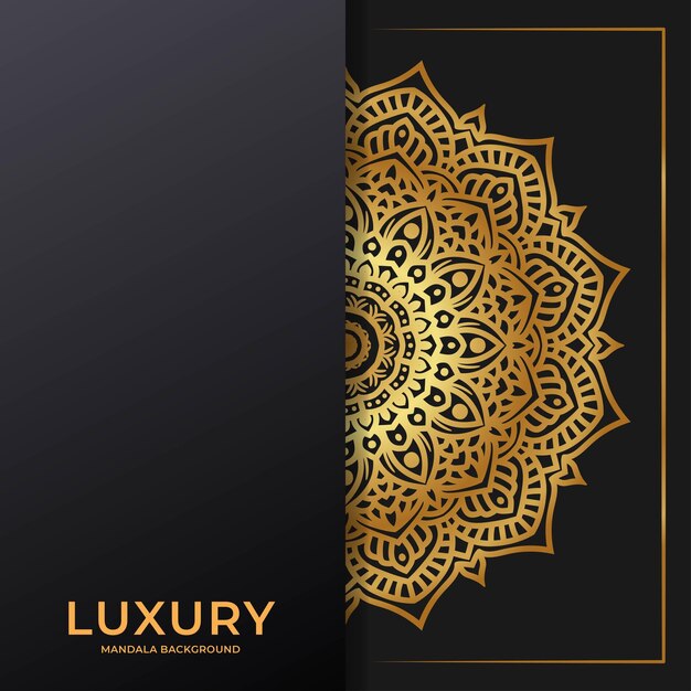 Vector luxury circular pattern mandala background