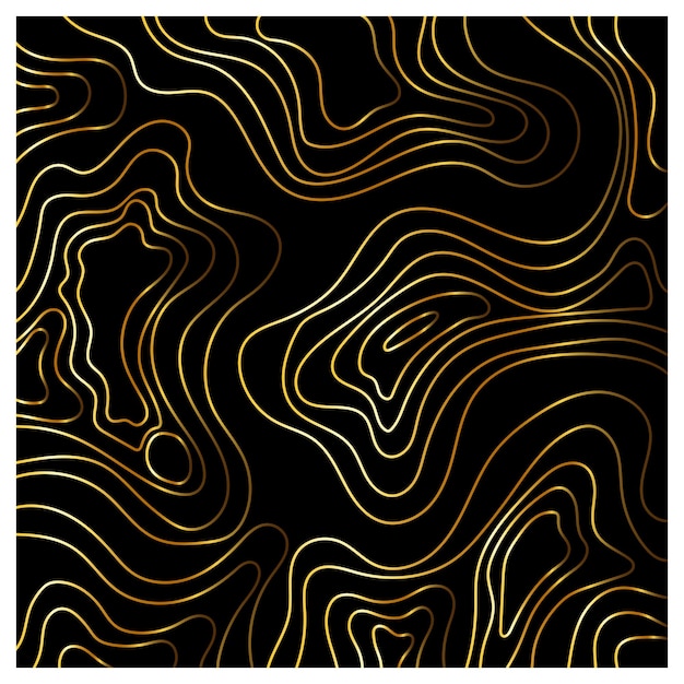 Luxury gold abstract line art background vector mappa topografica del terreno di montagna background