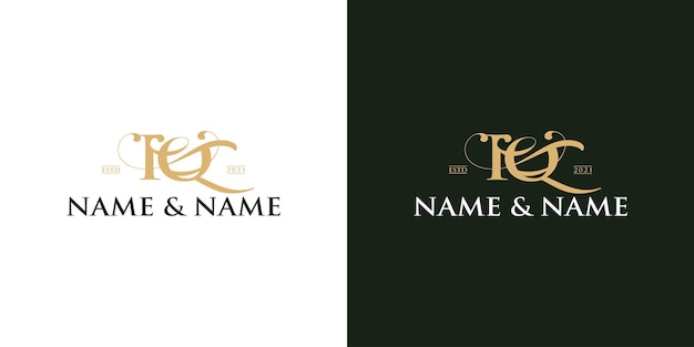 Vector luxury letter logo design