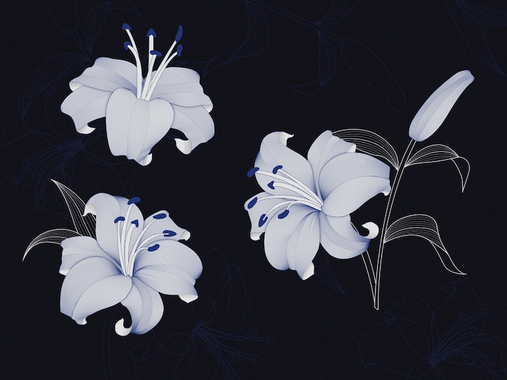 Vector 豪華なユリの花