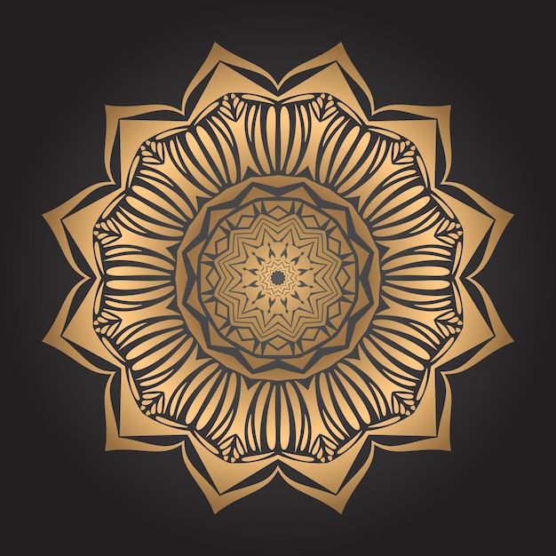 Vector luxury mandala art background design