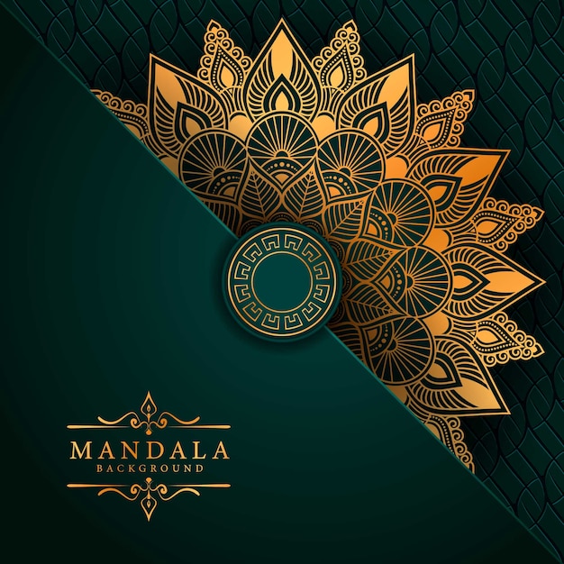 Vector luxury mandala decorative ethnic element background