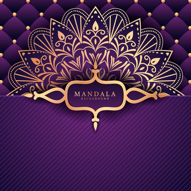 Vector luxury mandala decorative ethnic element background