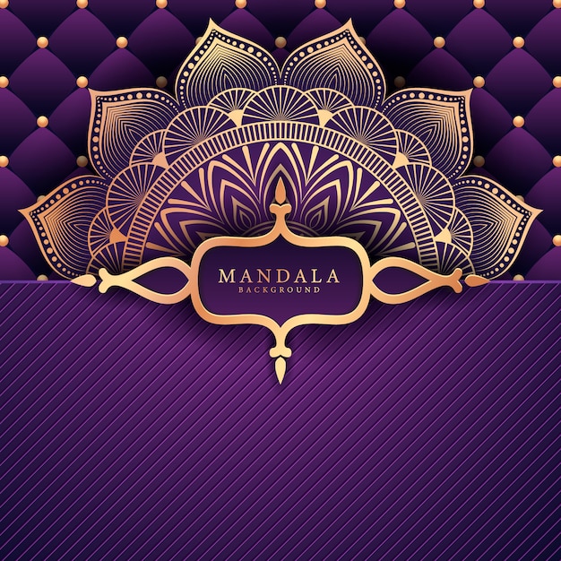 Vector luxury mandala decorative ethnic element background