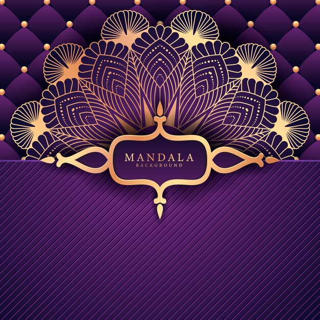 Vector luxury mandala decorative ethnic element background