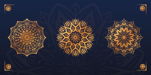 Vector luxury mandala design set