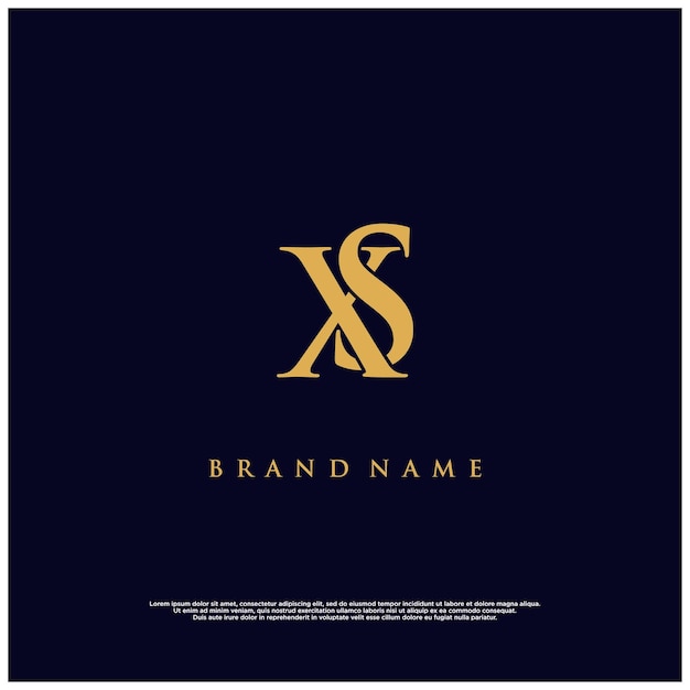 luxury modern combination SX or XS abstract vector logo