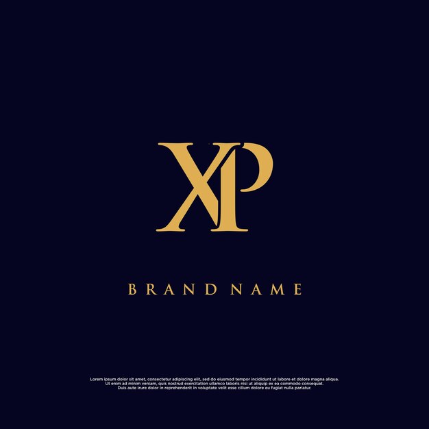 Luxury modern combination xp abstract vector logo