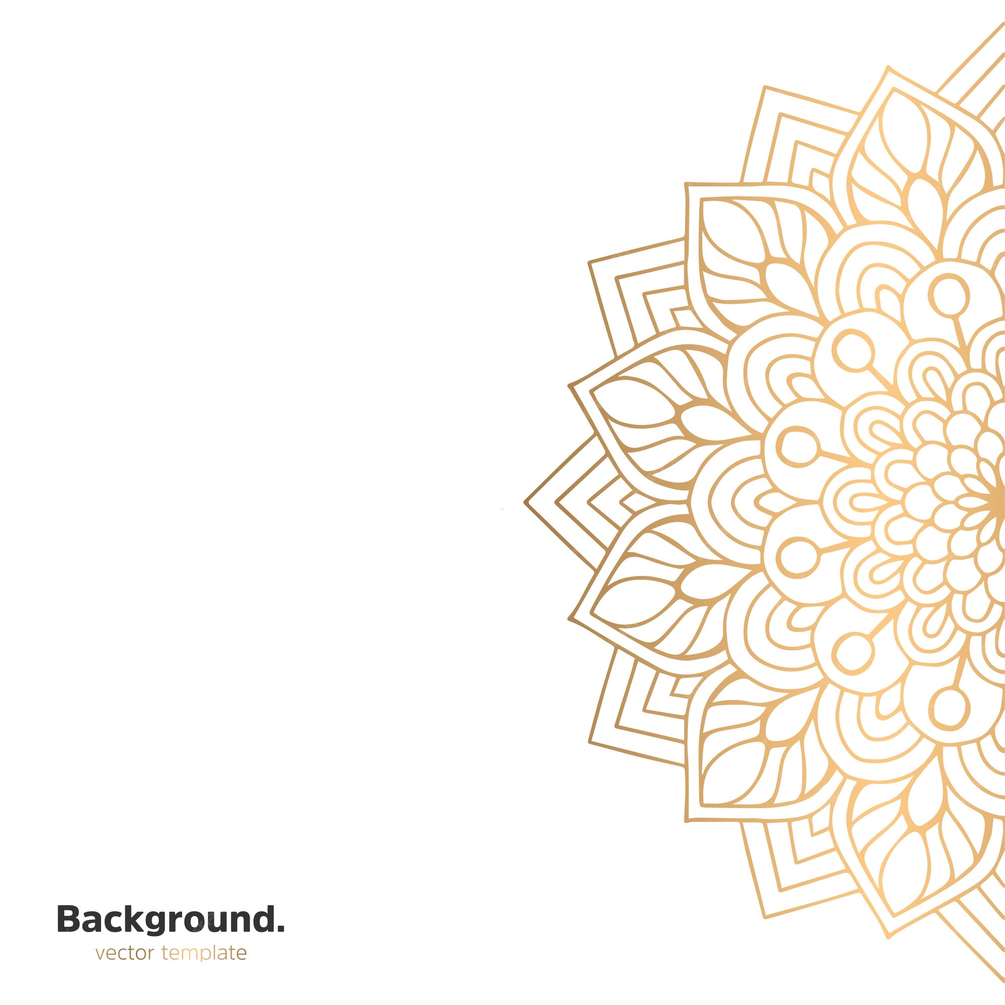 Details 100 mandala design background