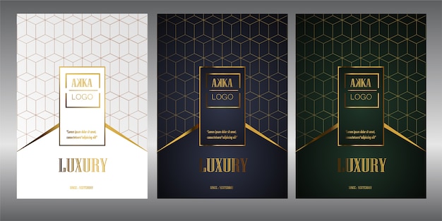 Vector luxury package menu cover design geometric