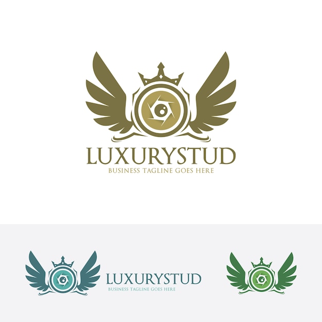 Luxury studio vector logo template