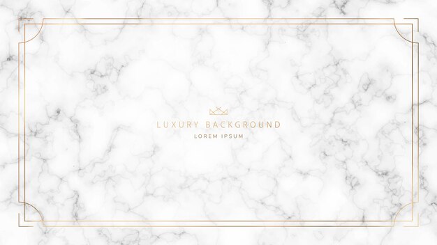 Vector luxury vector background premium marble banner