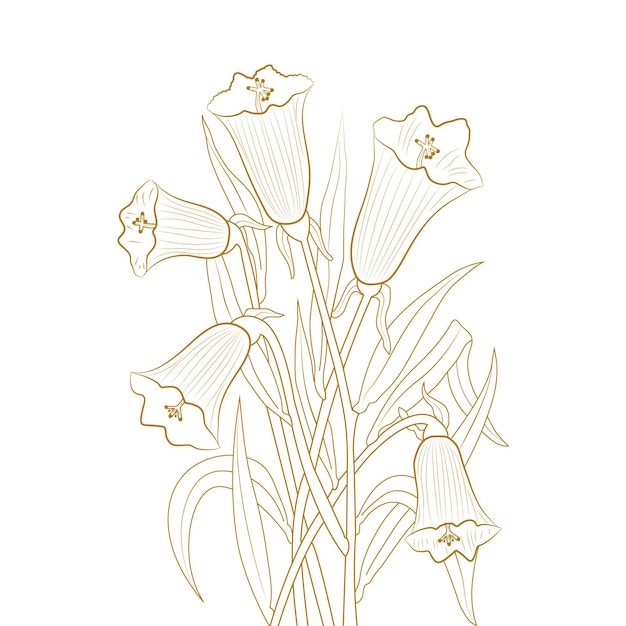 ベクトル 豪華なベクトル手描きのチューリップの花のデザイン