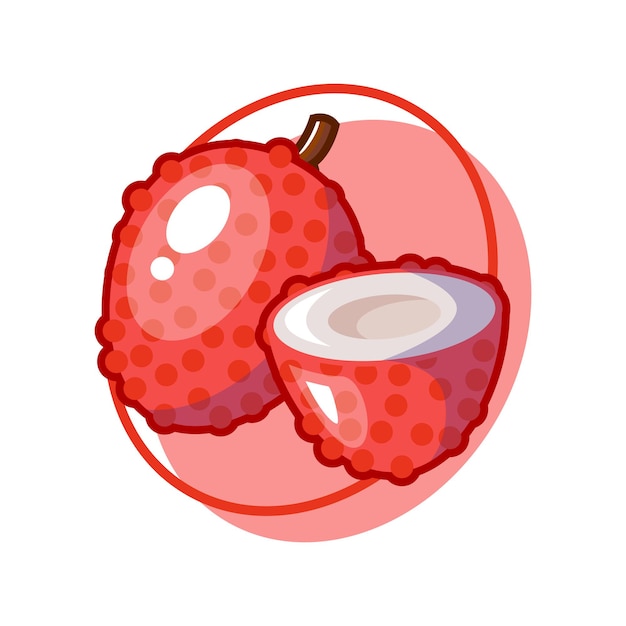 Vector lychee fruit drawing illustration design