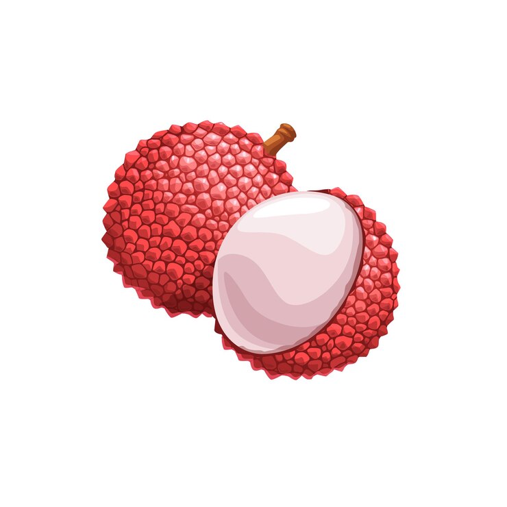 Vector lychee fruit exotic plant with piked red peel