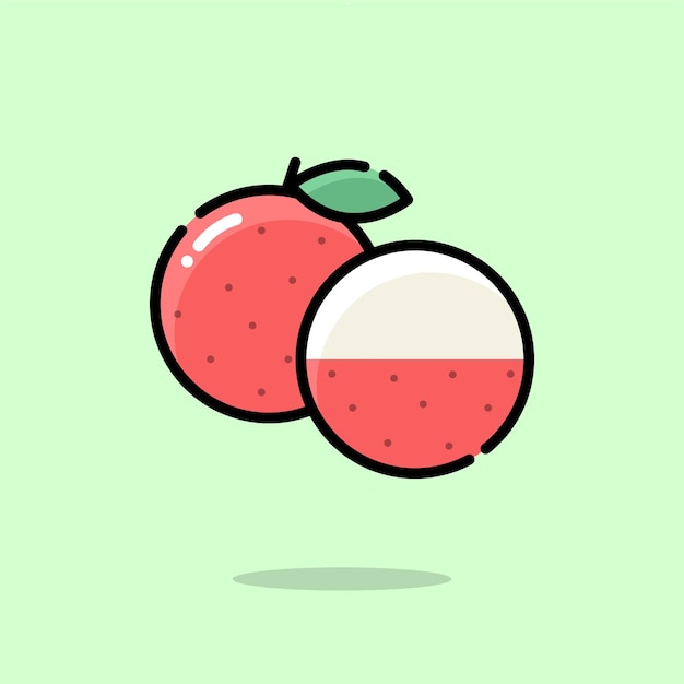 Lychee fruit illustratie in cartoon-stijl