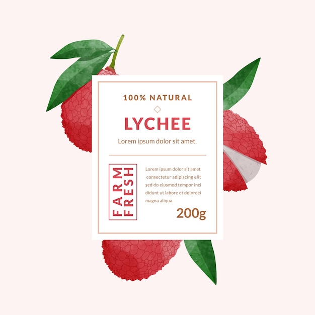 Lychee fruit packaging design templates watercolour style vector illustration