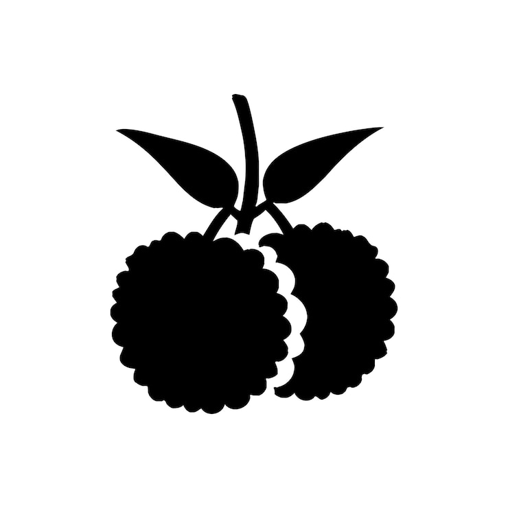 Vector lychee icon isolated on white background