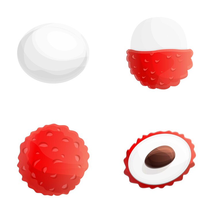 Vector lychee icons set cartoon vector ripe exotic litchi fruit healthy nutrition