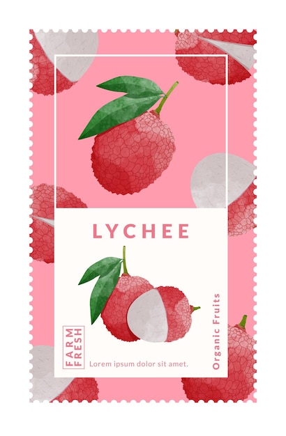 lychee packaging design templates watercolour style vector illustration