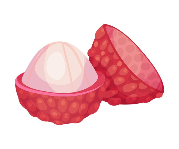 Vector lychee vrucht met zoet vleesch in ruwe rode huid vector illustratie