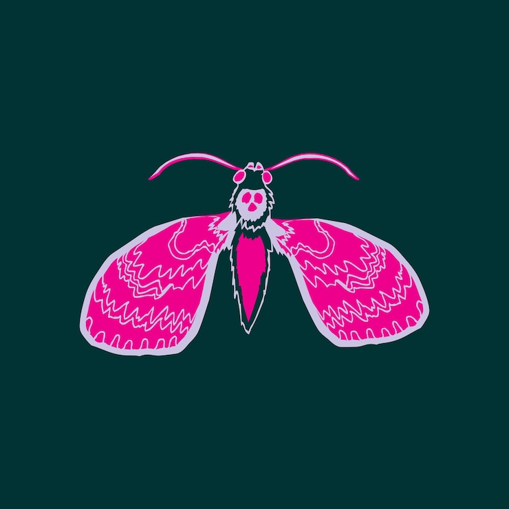 Vector lymantria butterfly icon design isolated on dark green background